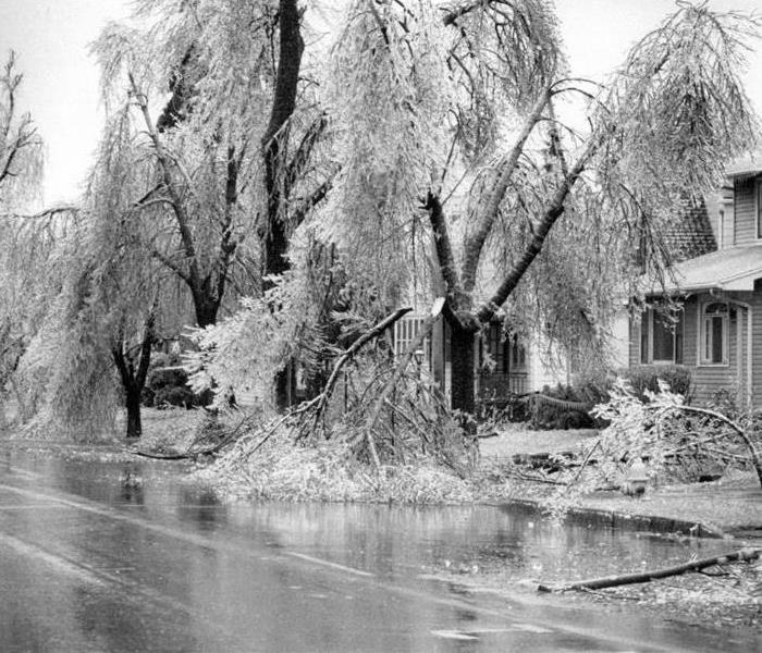 Ice covered homes, roadways, trees, and sidewalks.