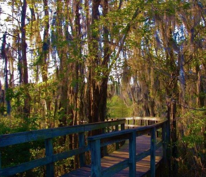 Phinzy Swamp Nature Park